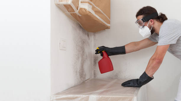 Professional Crawl Space Mold Removal technician working in Wilmette, IL