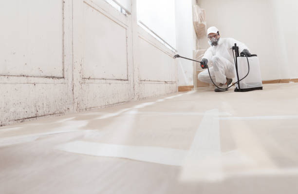 24/7 Emergency Crawl Space Mold Removal experts in Wilmette, IL