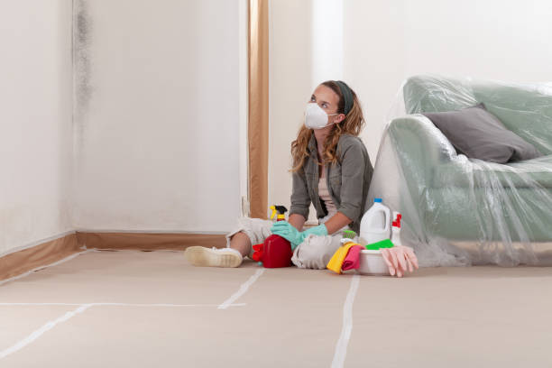 Reliable Crawl Space Mold Removal contractor in Wilmette, IL by WQB Mold Removal